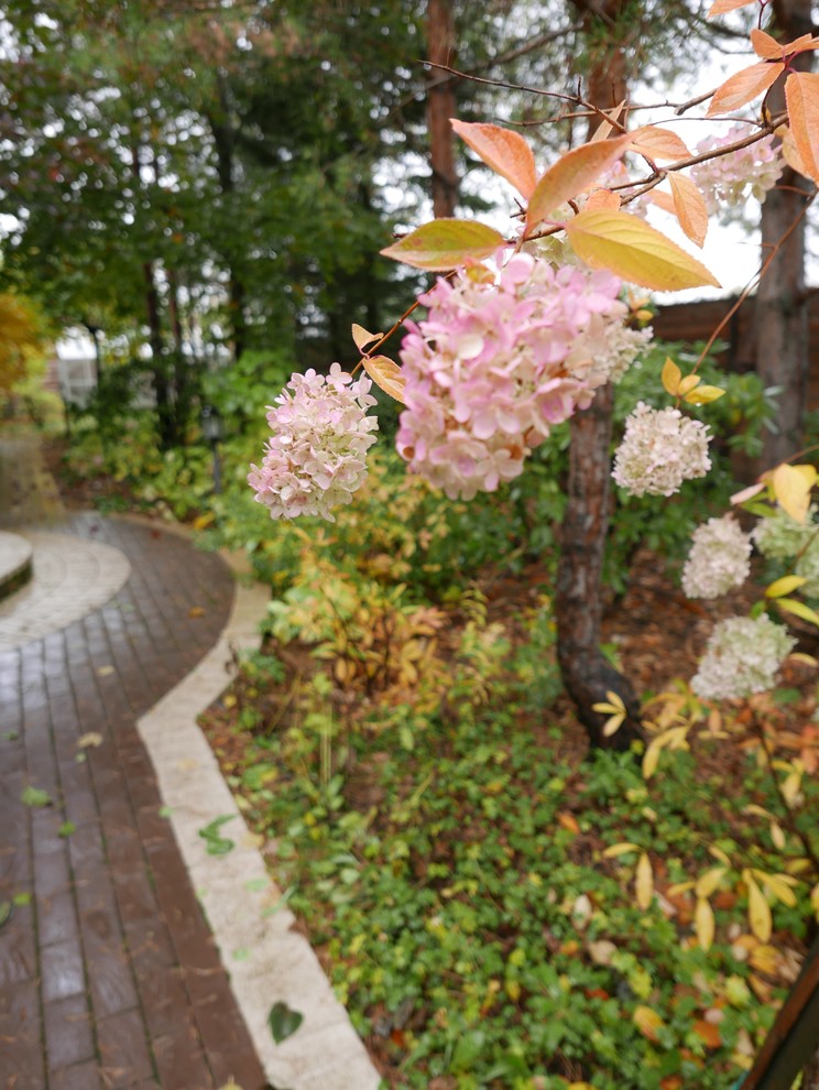 Буйство красочных форм в осеннем саду