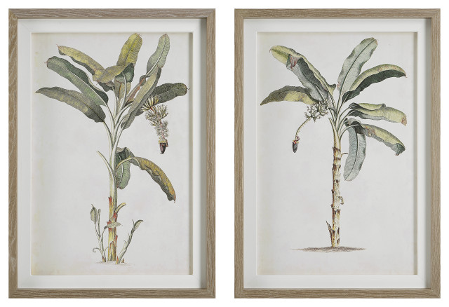 Banana Palm Framed Prints, Set/2"