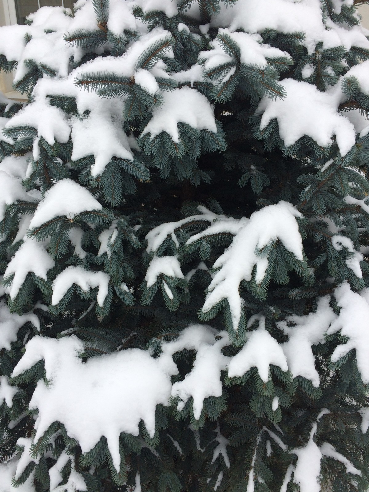 Зимний ландшафт