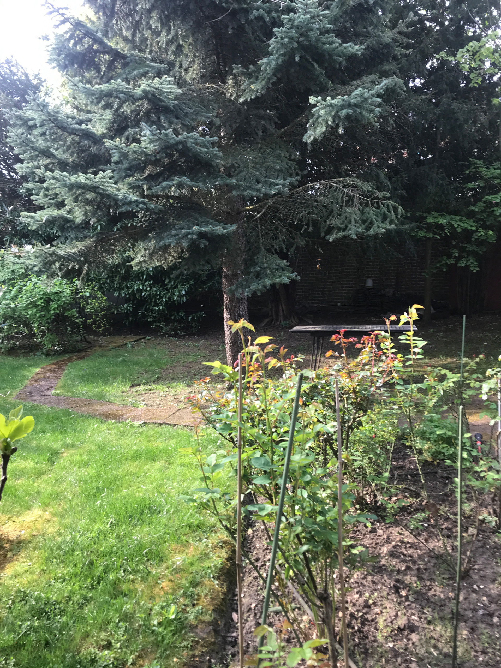 Jardin contemporain des quatre saisons