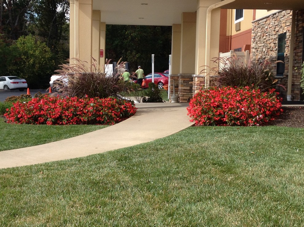 Inspiration for a large contemporary front yard full sun formal garden with a garden path and mulch.