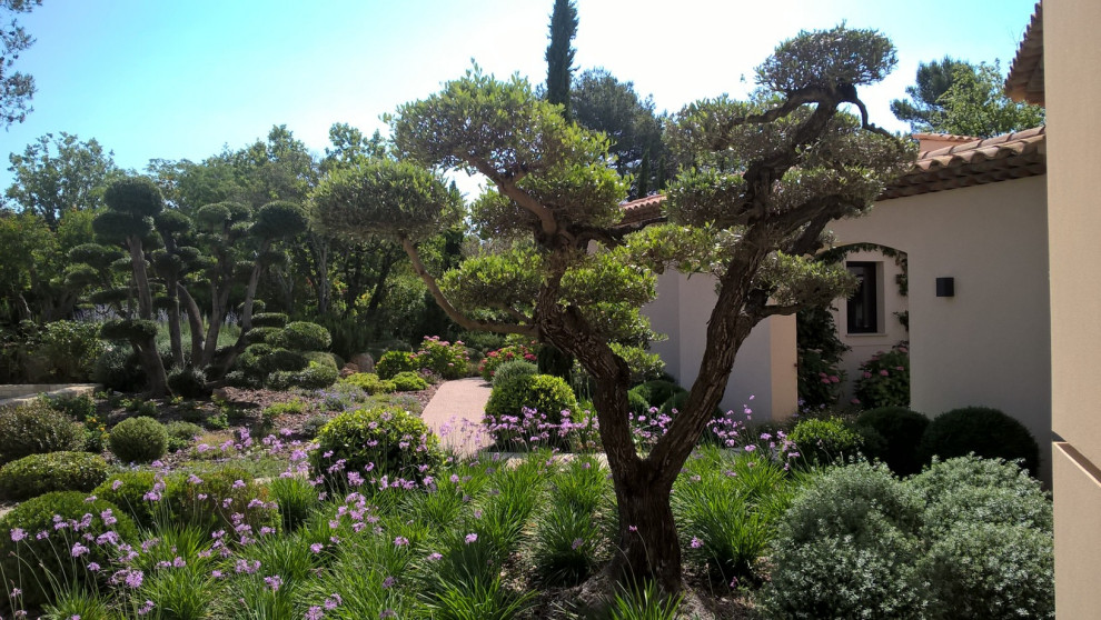 This is an example of an expansive mediterranean garden in Nice.