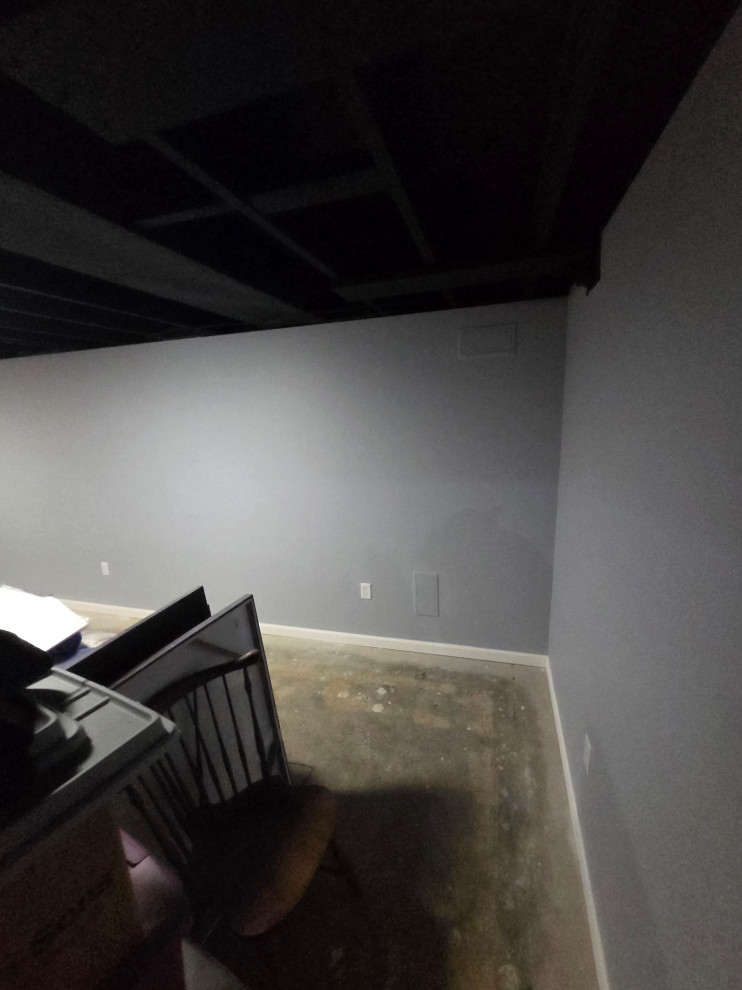 Basement Remodeling