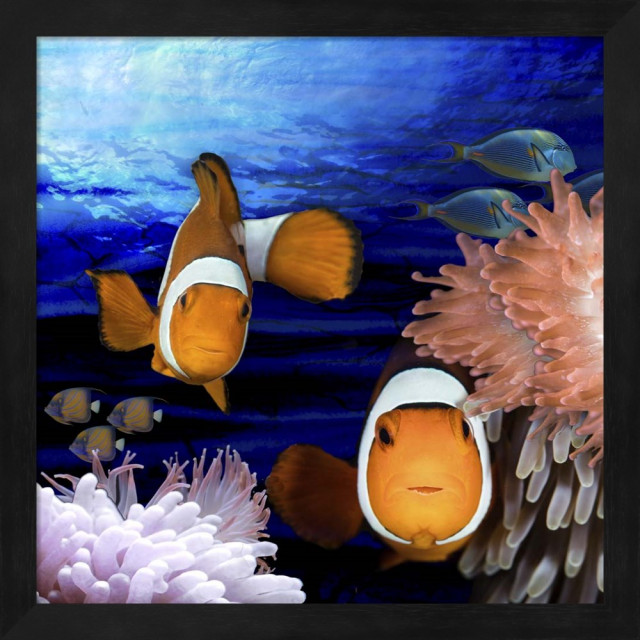 Sea Creatures Clown Fish By Lightboxjournal, Framed Wall Art, 13.25