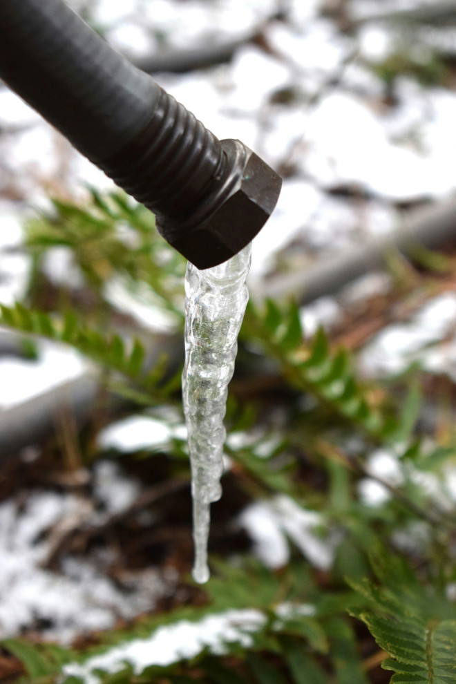 Frozen pipe