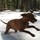 katie_bosma