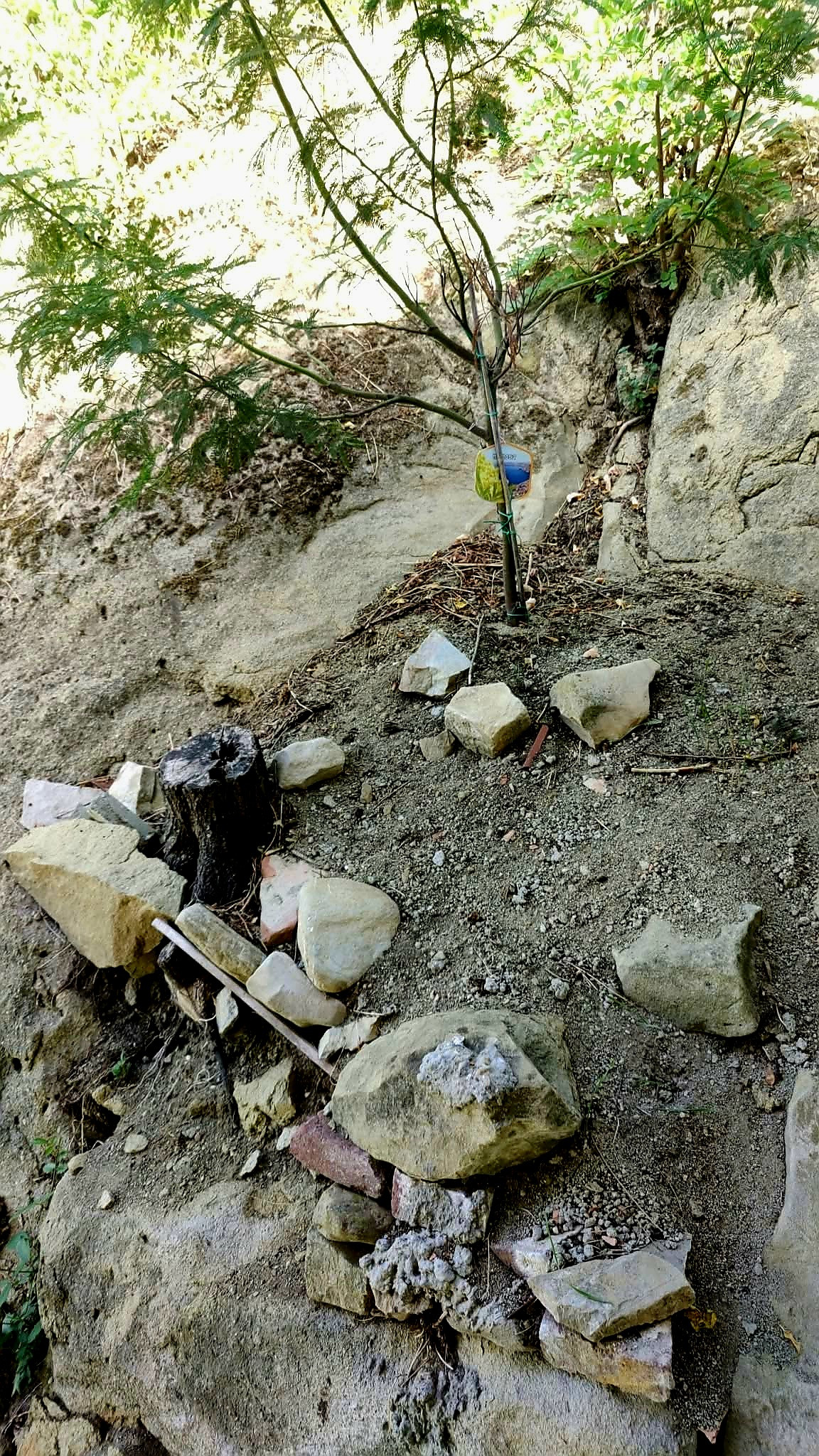 Un giardino sulle colline pavesi