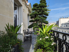 9 balcons verdoyants qui forment un jardin urbain