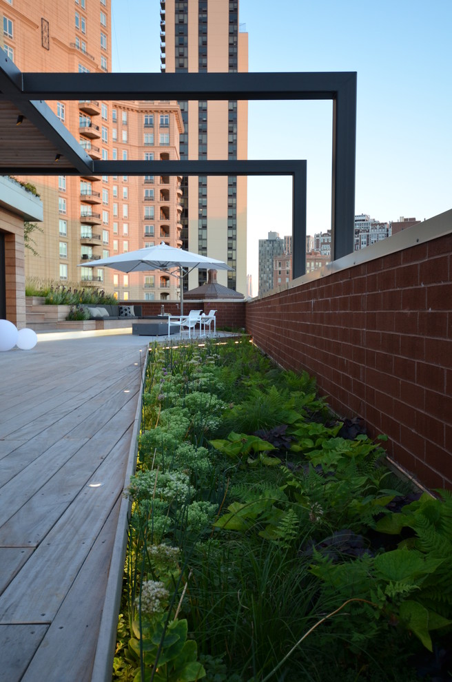 Custom Green Roof Plantings with Steel & Wood Pergola Above