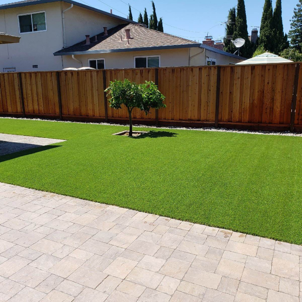 Photo of a mid-sized contemporary full sun backyard landscaping in San Francisco for spring.