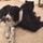 julie_clayton_horne