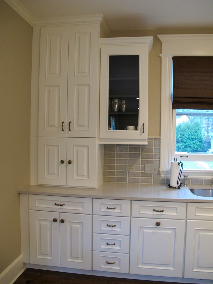 Example of a transitional home design design in Chicago