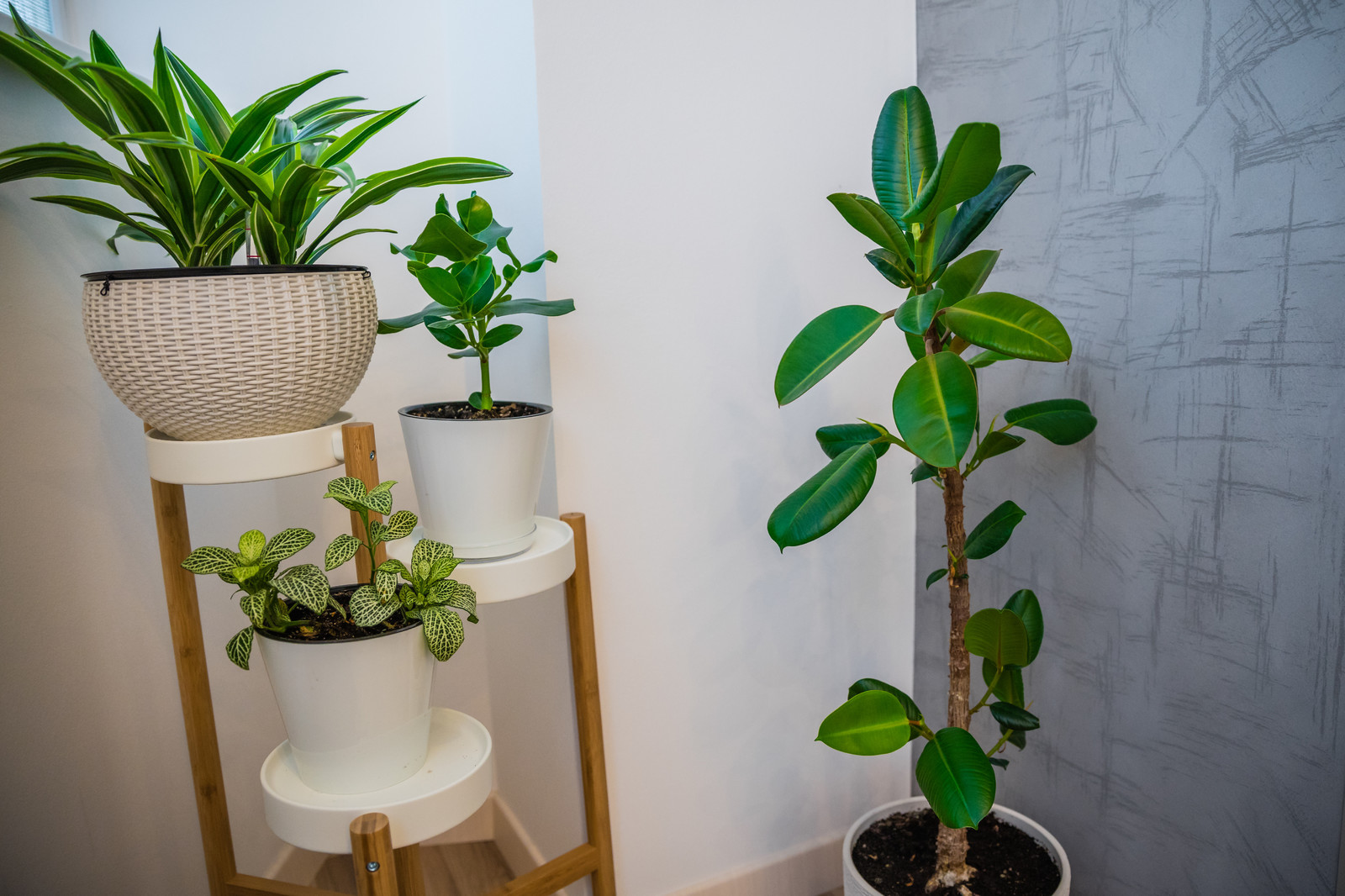 ЖК Ладожский парк