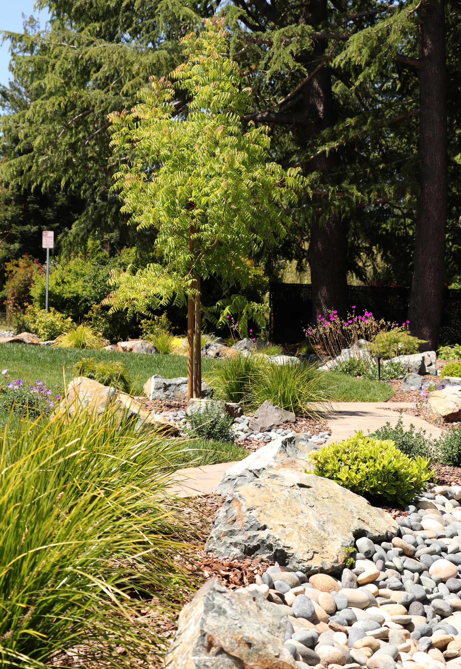 FRONT YARD WITH TREES AND DRY-CREEK