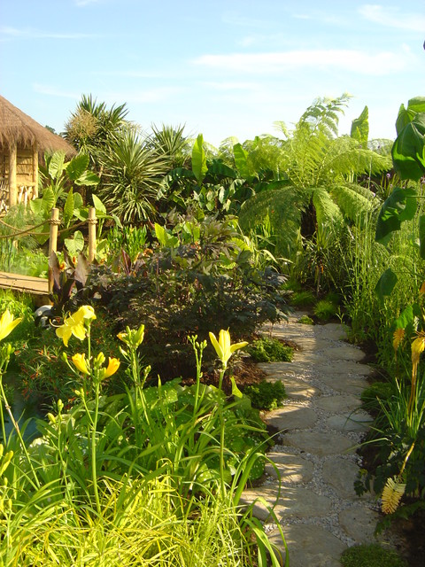 Garden Jungle