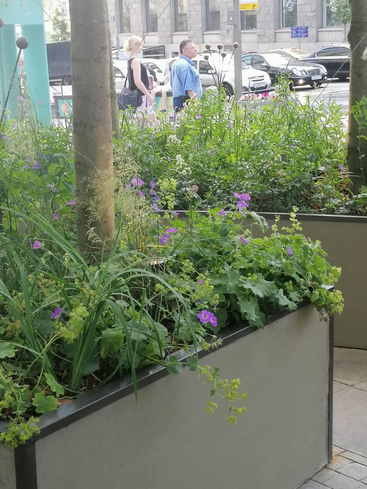 Выставочный сад