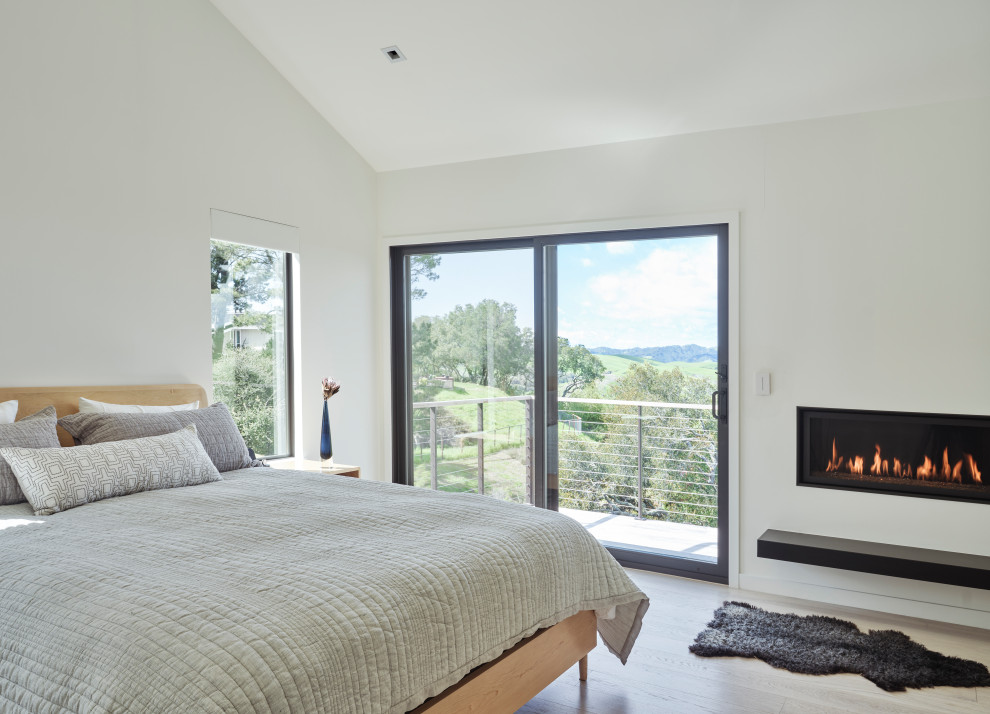 This is an example of a mid-sized scandinavian master bedroom in San Francisco with white walls, light hardwood floors, a standard fireplace and a metal fireplace surround.