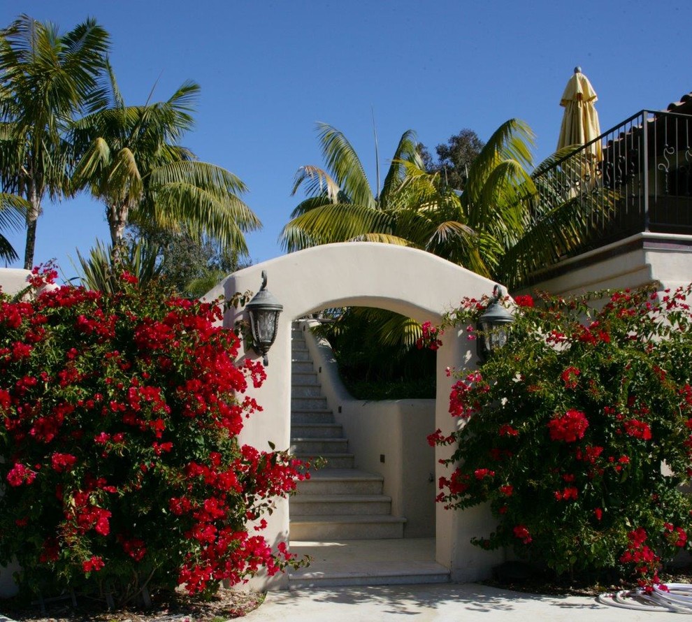 Photo of a tropical landscaping in San Diego.