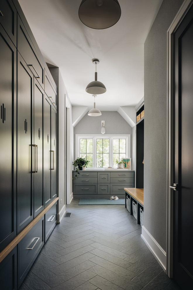 ASC Healthy Home - Contemporary - Entry - Chicago - by Amy Storm ...