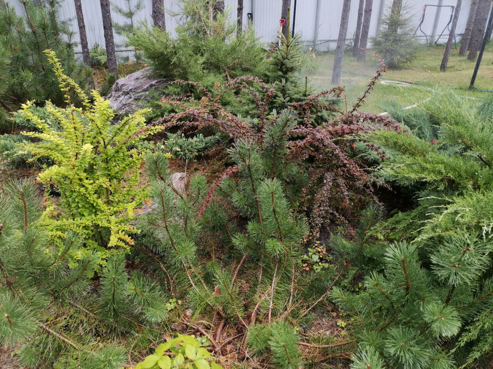 Лесная сказка Марий Эл. Сад в стиле Naturgarden