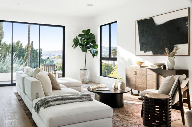 Hyperion contemporary-living-room