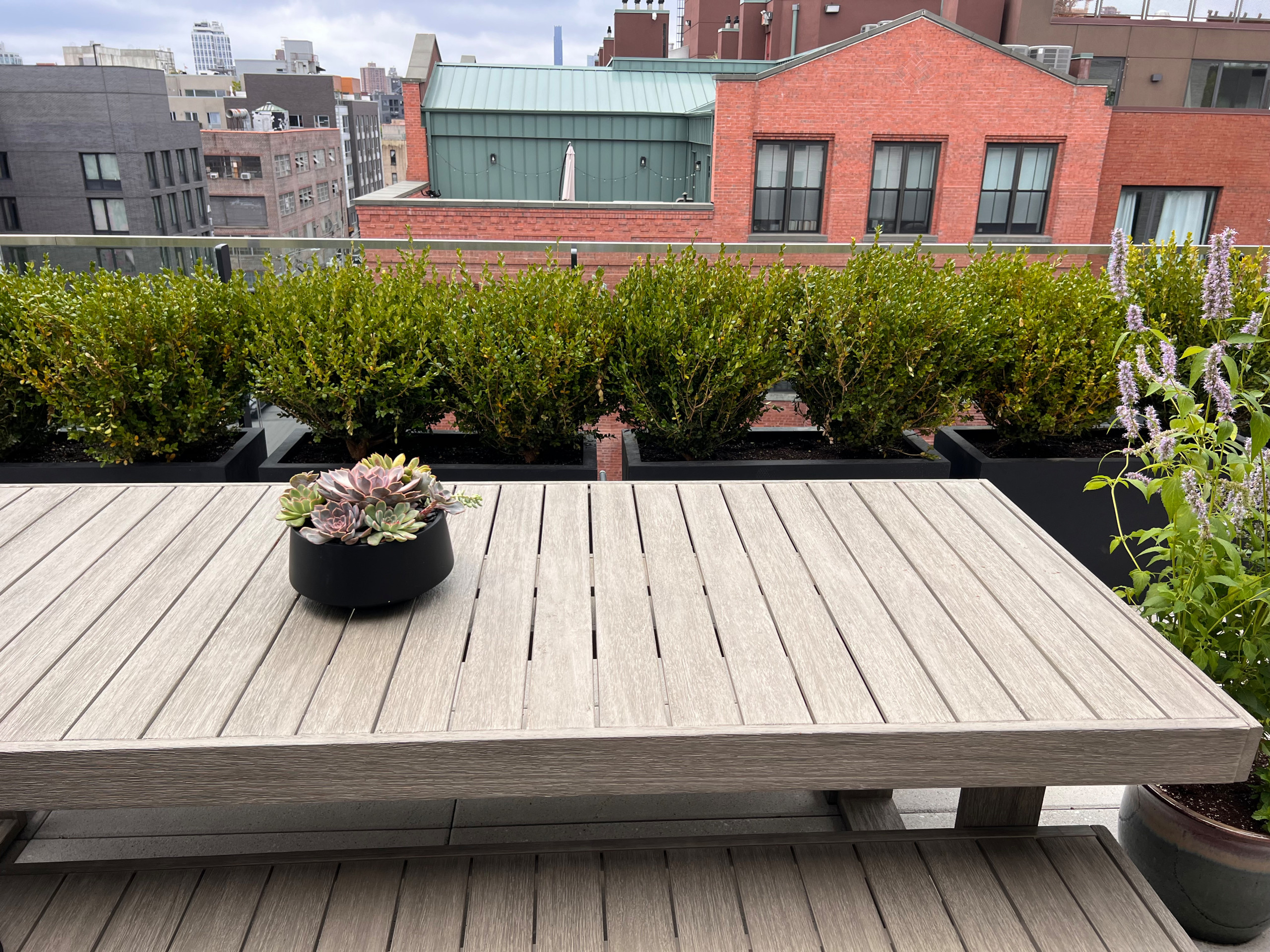 Williamsburg new terrace