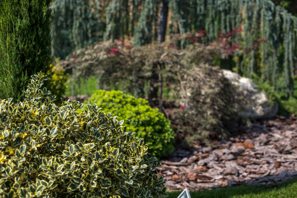 Сириус Сочи