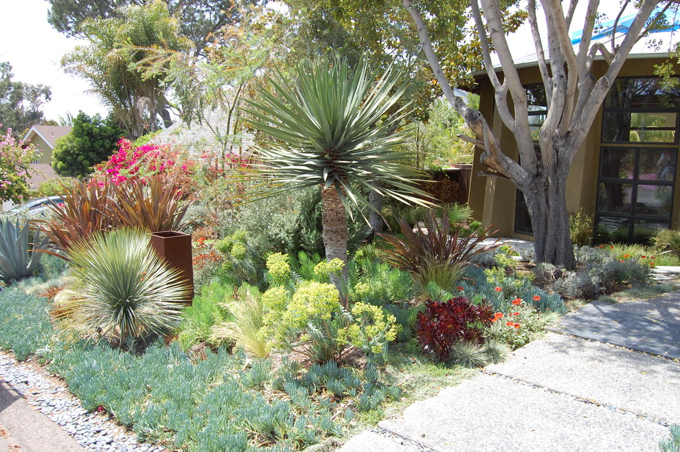 Contemporary front yard garden in San Diego.