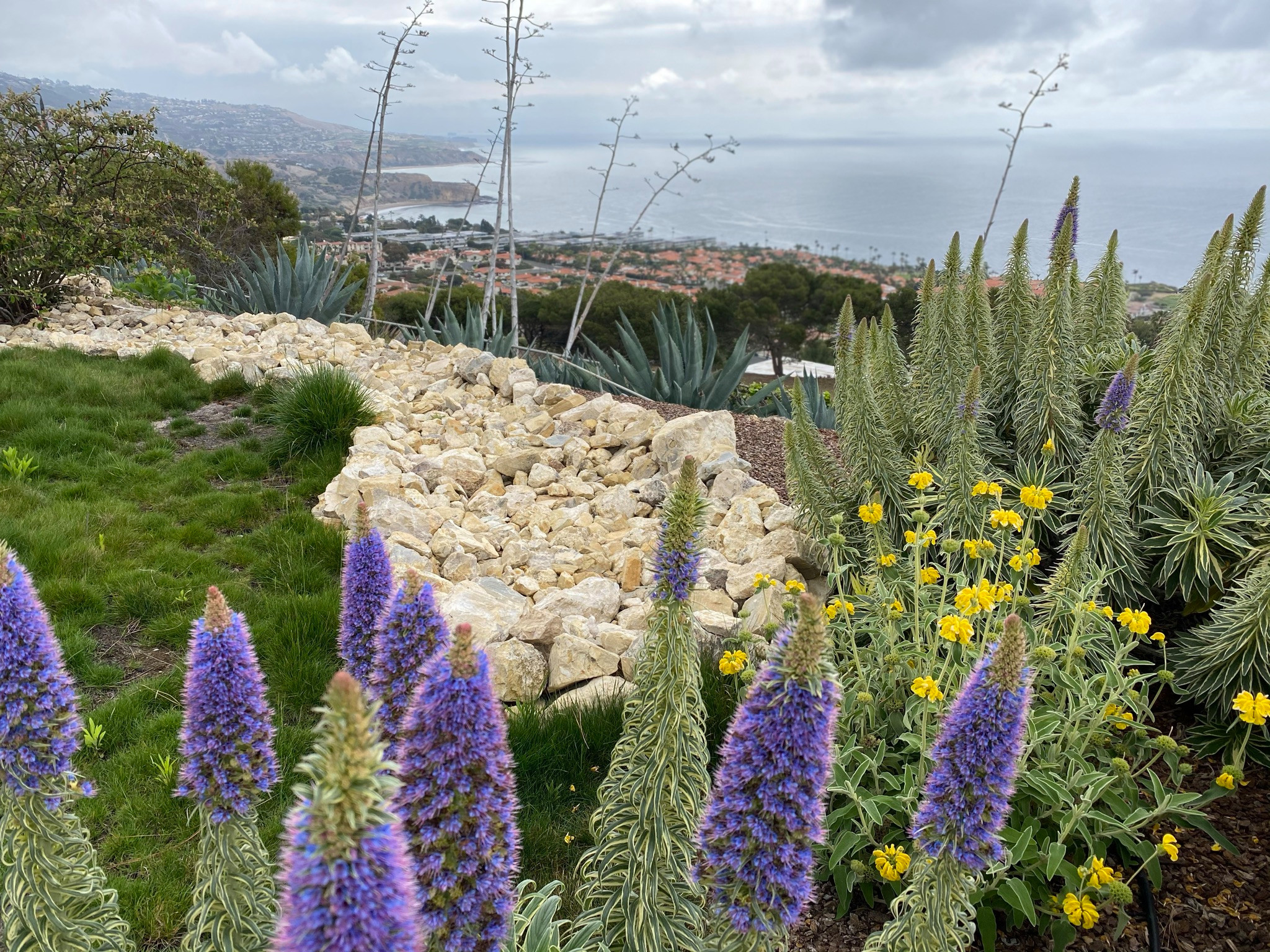 Rancho Palos Verdes, CA - Regenerative California Native Garden