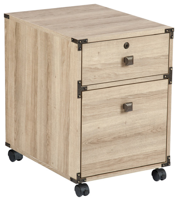 Saint Birch Langer 2 Drawer Mobile Vertical Filing With Locking