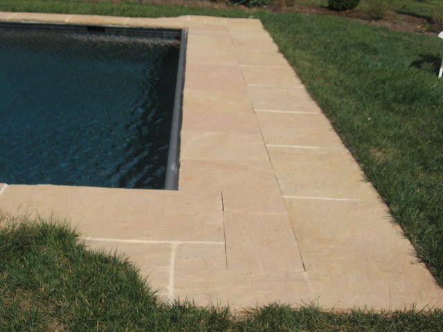 Backyard concrete paver and rectangular lap pool photo