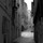 Dernier commentaire par meli gourd