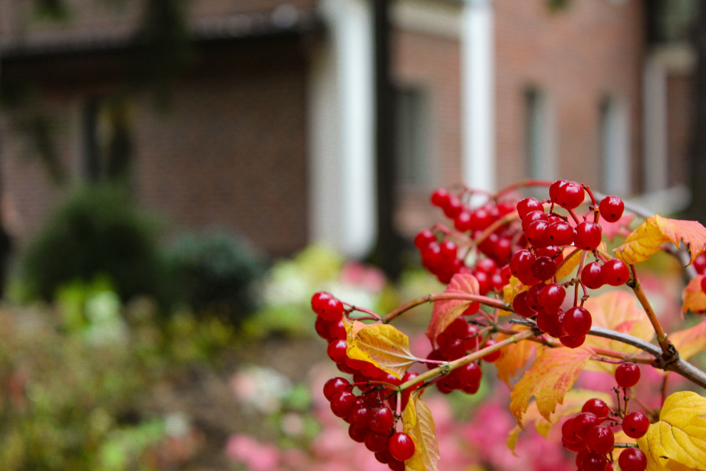 Генеральские дачи