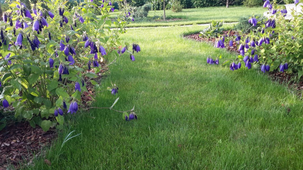 Цвет  2022 года   в реализованных   проектах