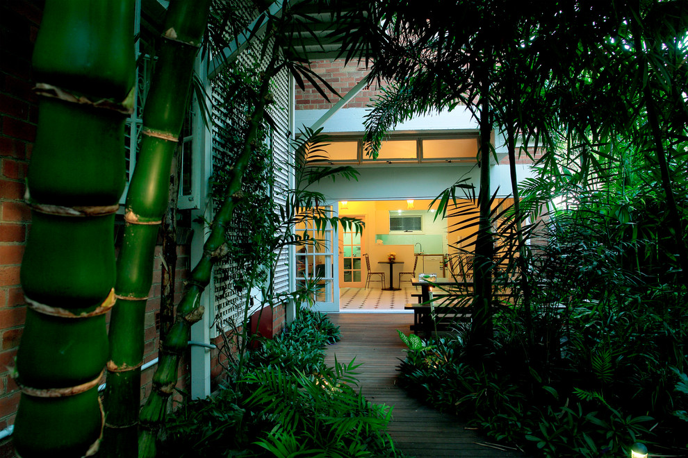 Tropical garden in Sydney.