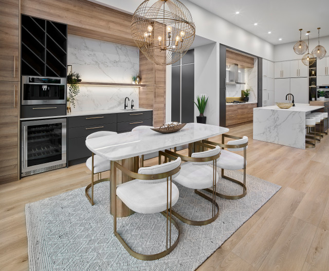 Modern Elegance contemporary-kitchen