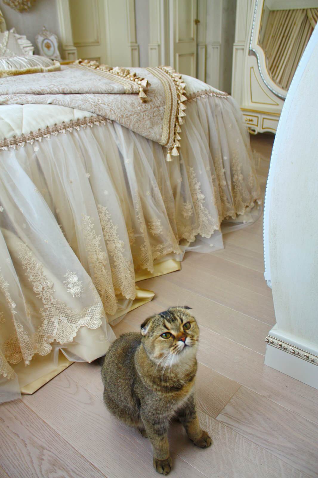 Дом на Щелковском шоссе: современное прочтение стиля рококо