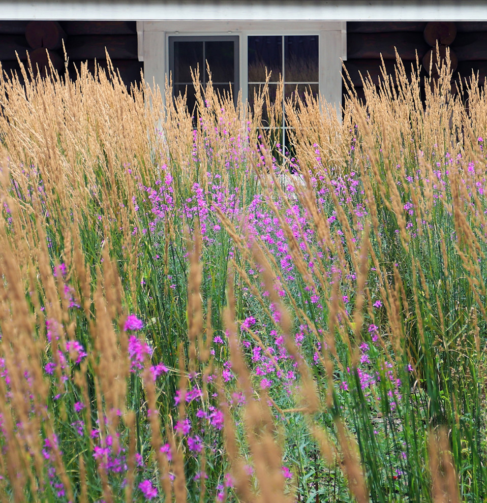 Сад у тёмных бревен