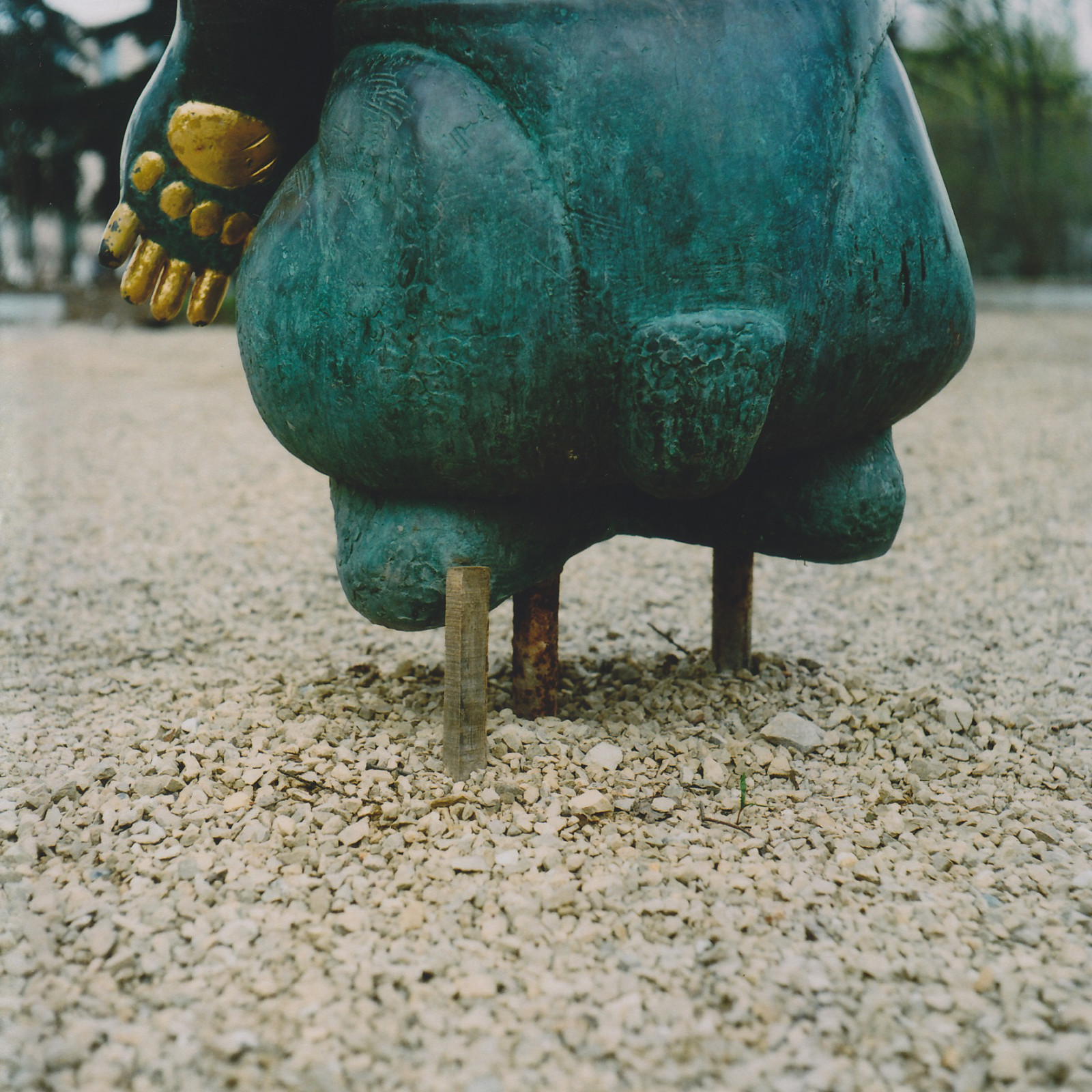 Фотографии на продажу