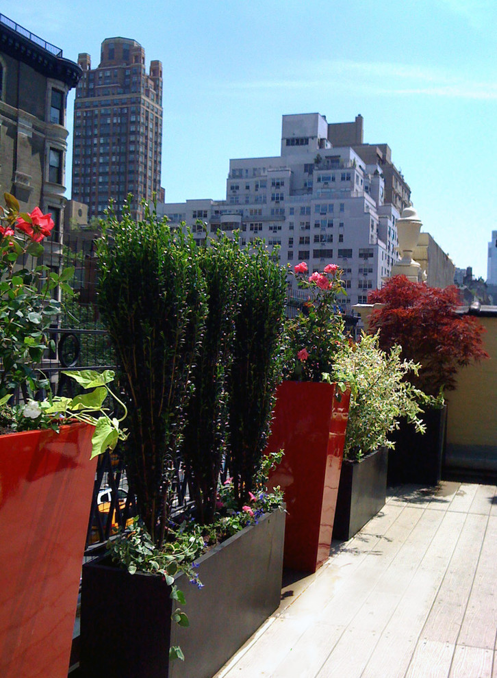 Design ideas for a contemporary rooftop deck in New York with a container garden.