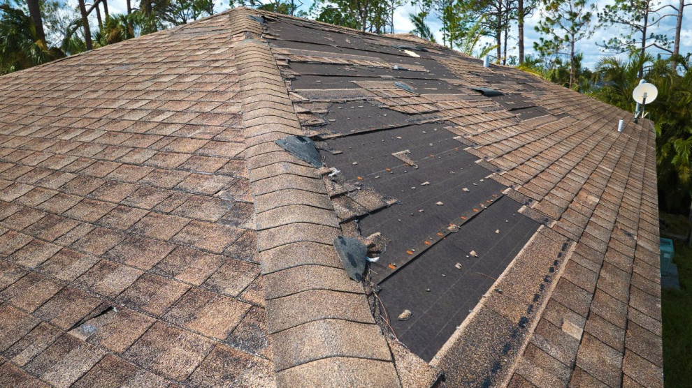 Signs of Wind Damage to Your Roof