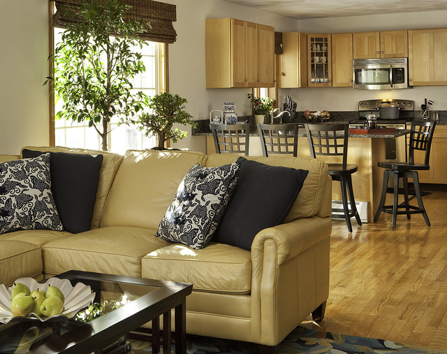 Decorating Den- Shawn Strok modern-wohnbereich