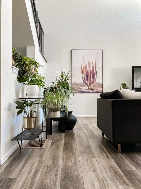 Perez Living & Bath | Aurora, CO | Contemporary Main Floor Remodel