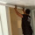 Primos painting and handyman