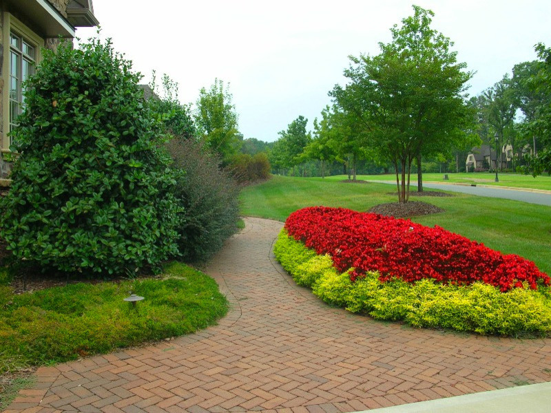Design ideas for a transitional landscaping in Charlotte.