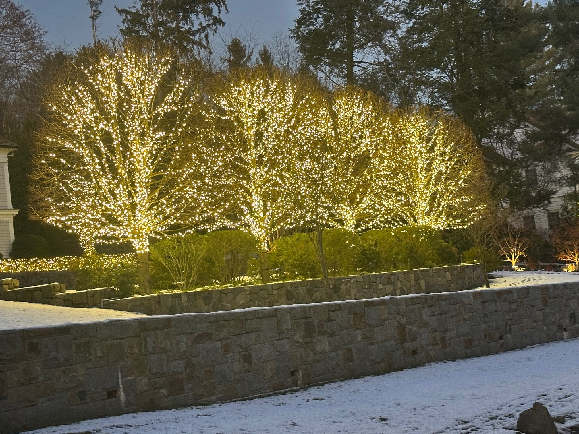 Christmas Decorations and Outdoor Lights