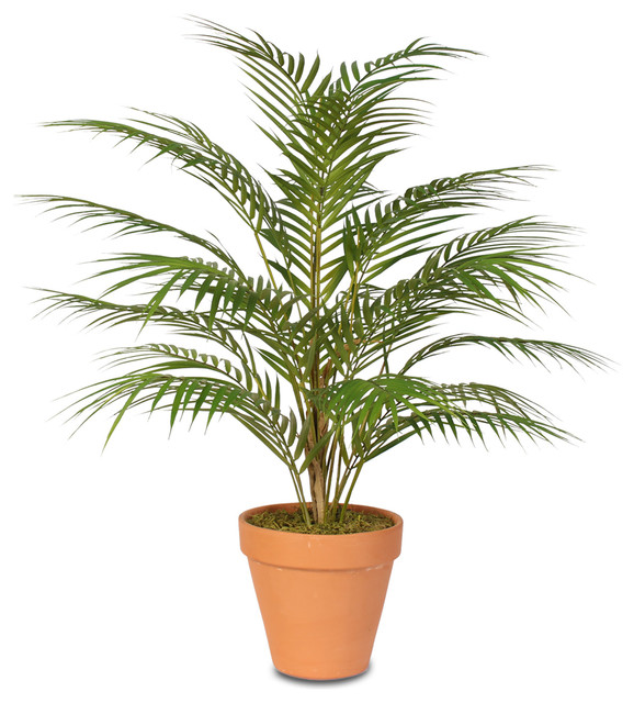 Real Touch Artificial Areca Palm Plant In A Small Clay Pot Asian