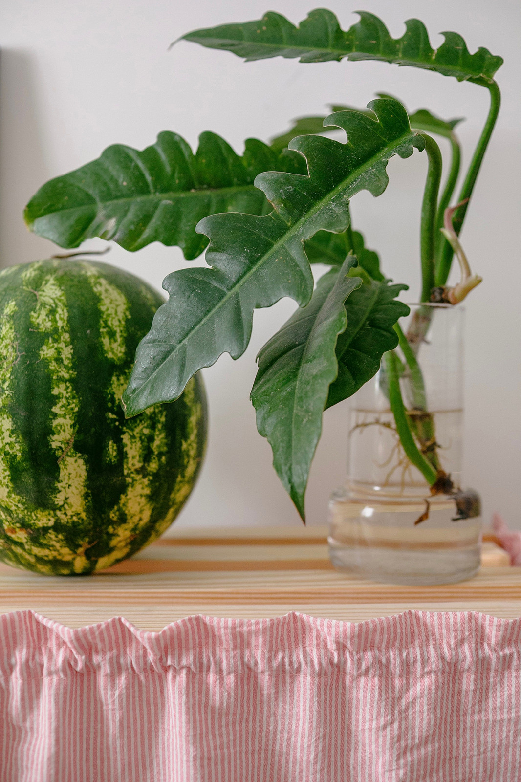 квартира в доме Наркомвода