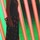 virginia_holbrook