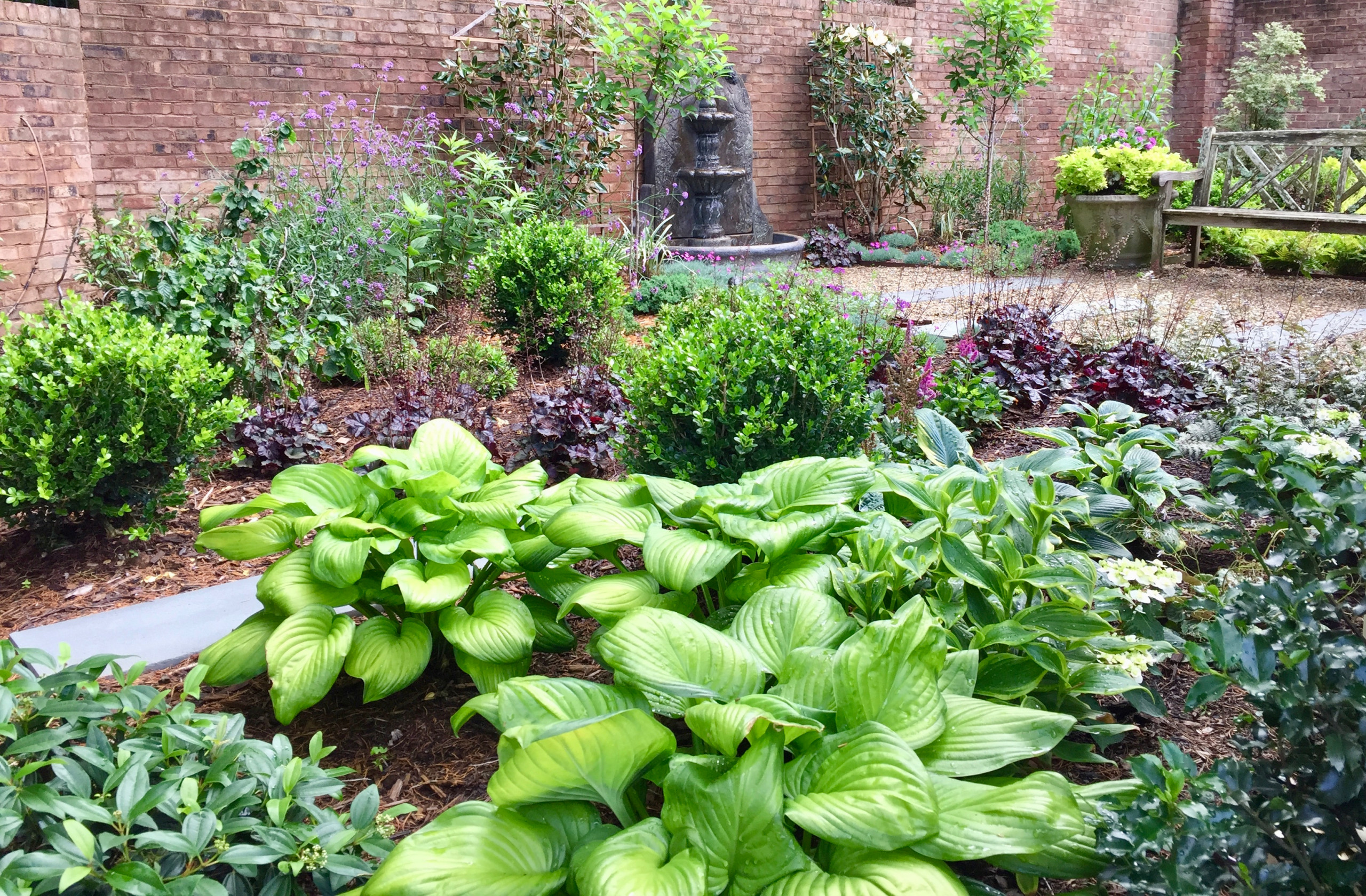 Transitional Courtyard Garden